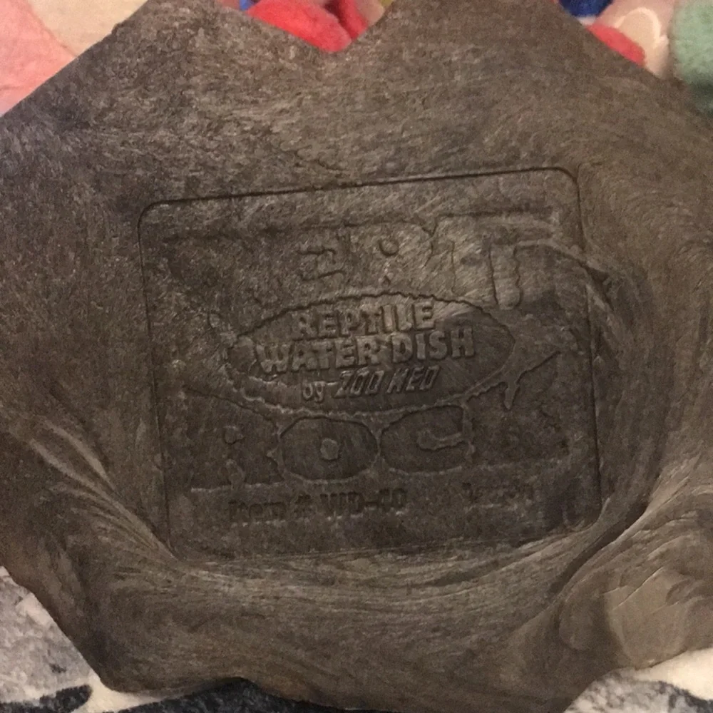 Reptile dish